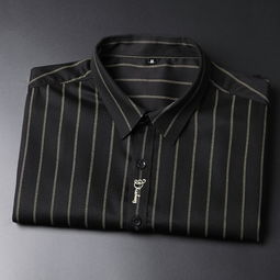 湯河之家 2019秋季新款長袖襯衫男青年時尚修身精品刺繡條紋襯衣男裝c