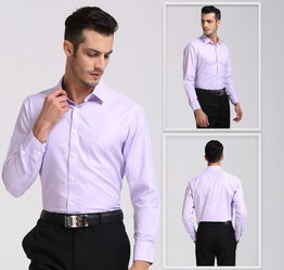 男士商務休閑新選擇 啄木鳥紫羅蘭純棉免燙襯衫測評